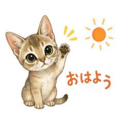 Cute Singapura Reactions