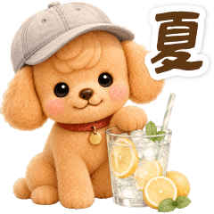 Toy Poodle's Summer Weather Cafe
