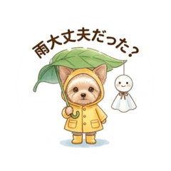 Rainy Day with my Yorkie & Sunshine Doll