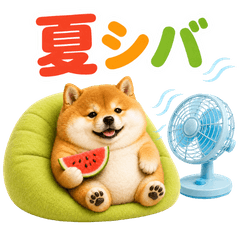 Pop-Up Summer Chubby Shiba