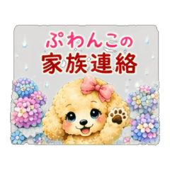 Polite Puppy Daily 3