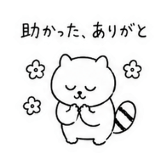 Tanuki Couple Talk