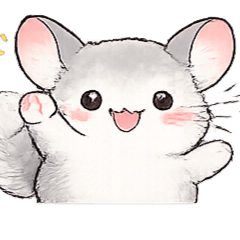 chinchilla001