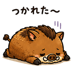 Tired Boar