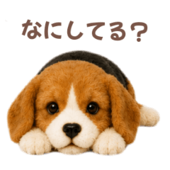Chiii_20260609013239