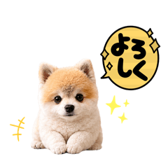 yukiyama_20260525195134