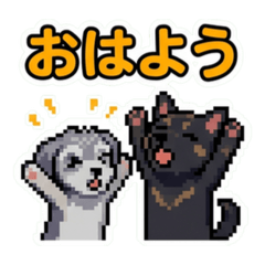 royro & sarasa