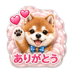 smile_20260525203034