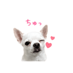 ohmori_20260525204346