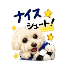 omi_20260525205144