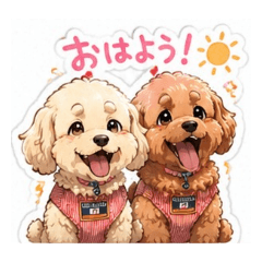 RUI_20260608165748