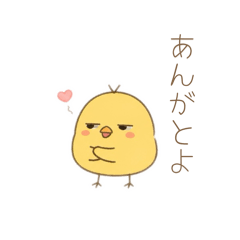 yako_20260523123213