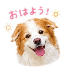 MIHO_20260525210218