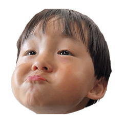momo_20260525210447