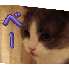 HANA_20260525210351