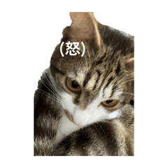 M_20260525211701