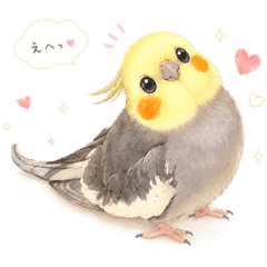 mayu_20260525212845
