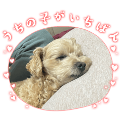 maru_20260525213610