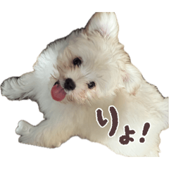 Yama_20260525214033