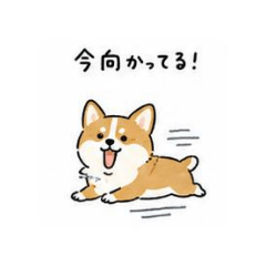 tin_20260525214609