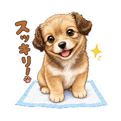 Puppy Care Updates