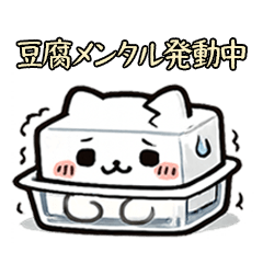 Tofu-minded cat