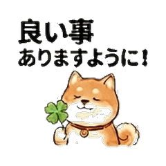 Akashiba Daily Stickers