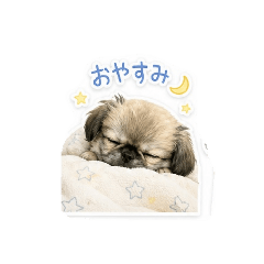 mei_20260525220139