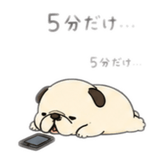 onion_20260525211641