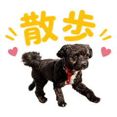YUA_20260525221804