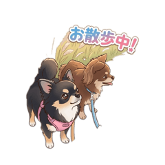 tsuki_20260525221543