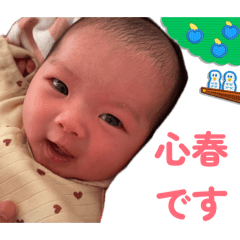 aaa_20260525221212