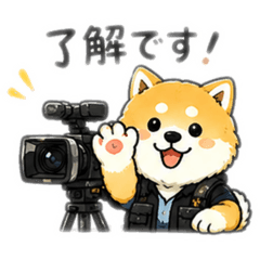 kamekichi_20260525223924