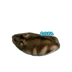 muffin_20260525223931