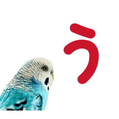 tentekehanako_20260525232522