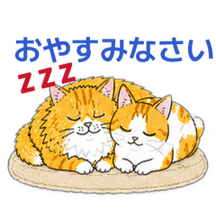 nyanpa_20260525234536