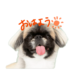 kina_20260525235238