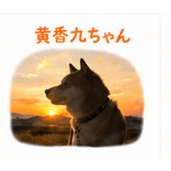 Megu_20260525235754
