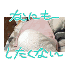 nomikomi_20260609140342