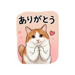 KOYMO.KOTARO