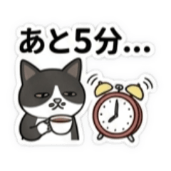 saho_20260525231229