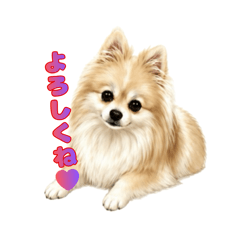 Pome_20260526014218