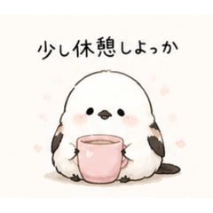anya_20260526050502