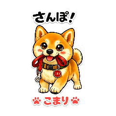 watanabe_20260526074552