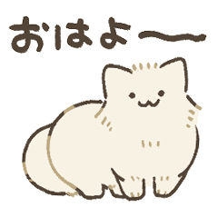 白いもふもふのねこ