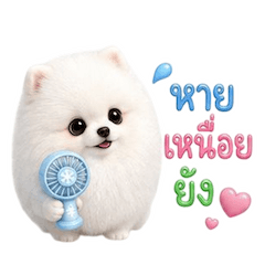 หมาน้อยตุ้ยนุ้ย กวนขั้นสุด 3