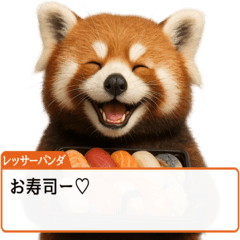 Red Panda in Tokyo[orange]