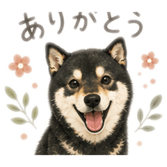 kotaro_20260526091603
