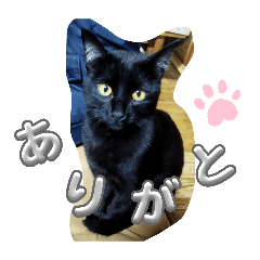 Mame_0001