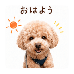 kiki_20260526091836